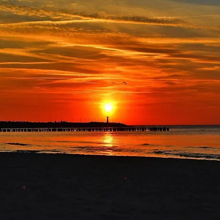 In Near The Baltic Sea